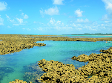 Alagoas