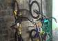 RENT A BIKE 