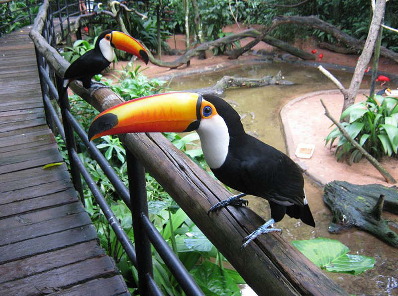 Parque das Aves